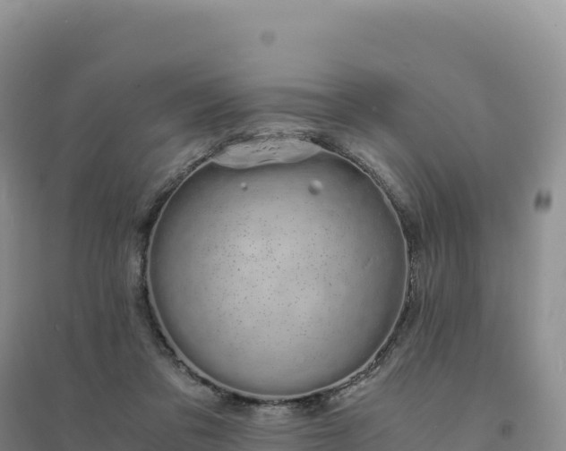 X0000094360309200711091521