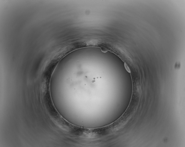 X0000094360311200711091521
