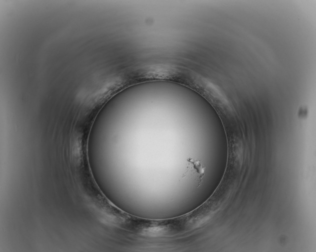 X0000094360312200711091521