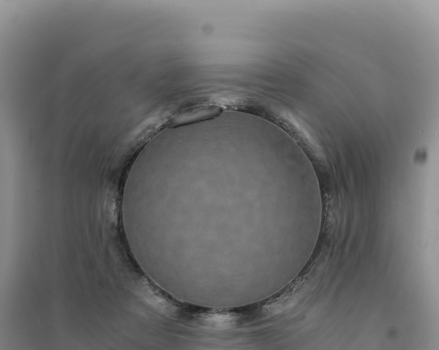 X0000094360313200711091521
