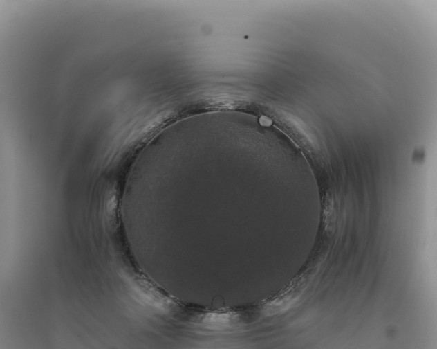 X0000094360314200711091521