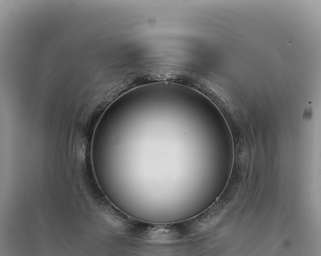 X0000094360315200711091521