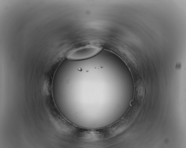 X0000094360316200711091521