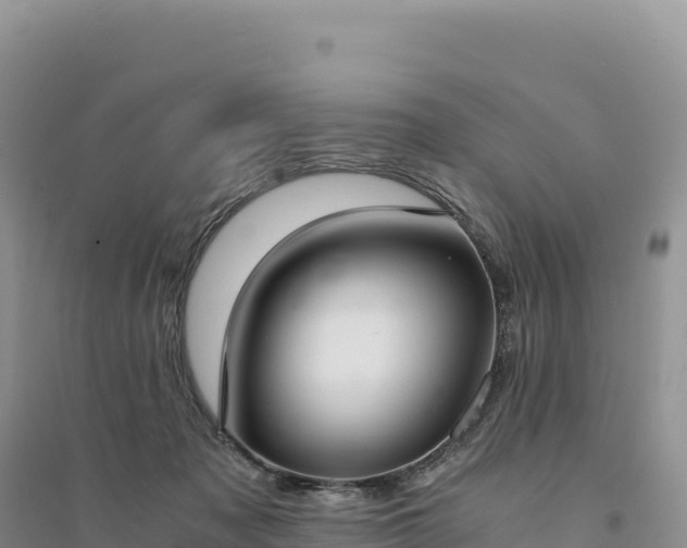 X0000094360317200711091521