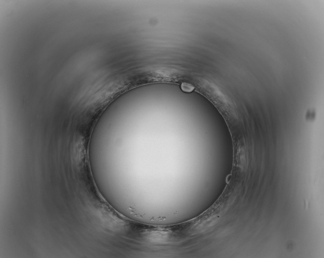 X0000094360318200711091521