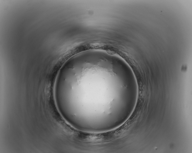 X0000094360319200711091521