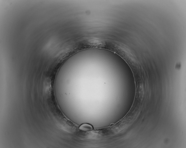 X0000094360320200711091521
