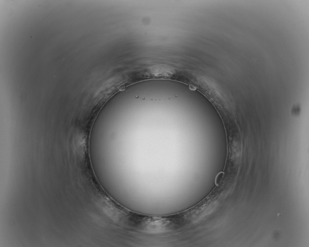 X0000094360321200711091521