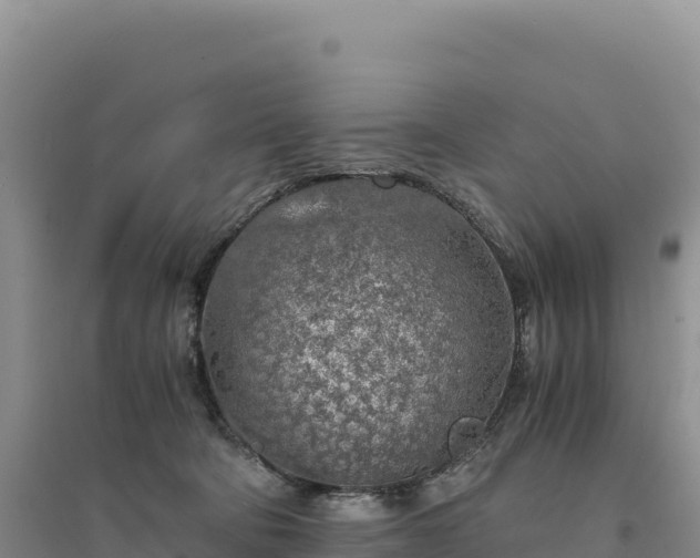 X0000094360322200711091521