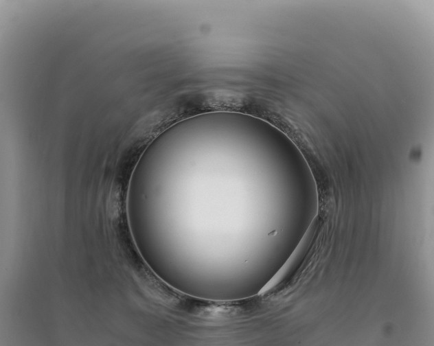 X0000094360323200711091521