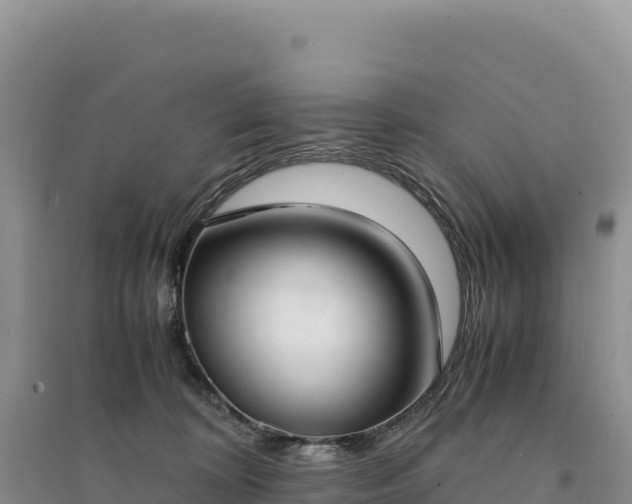 X0000094360324200711091521