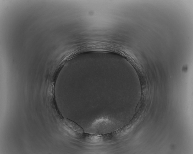 X0000094360325200711091520