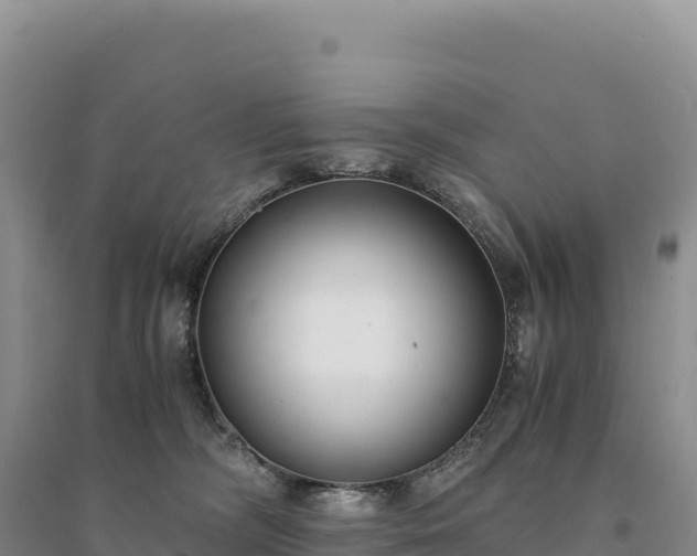 X0000094360326200711091520