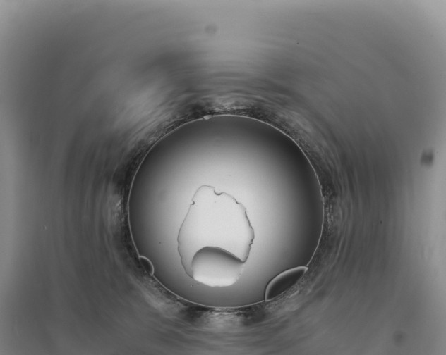 X0000094360327200711091520