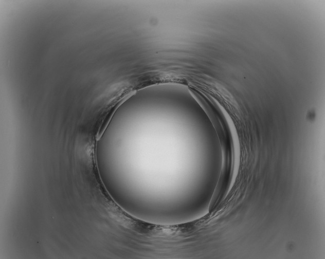X0000094360329200711091520