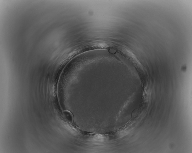 X0000094360330200711091520
