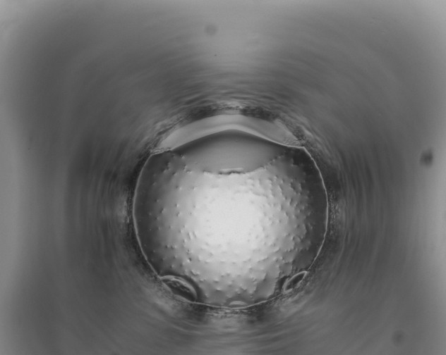 X0000094360331200711091520