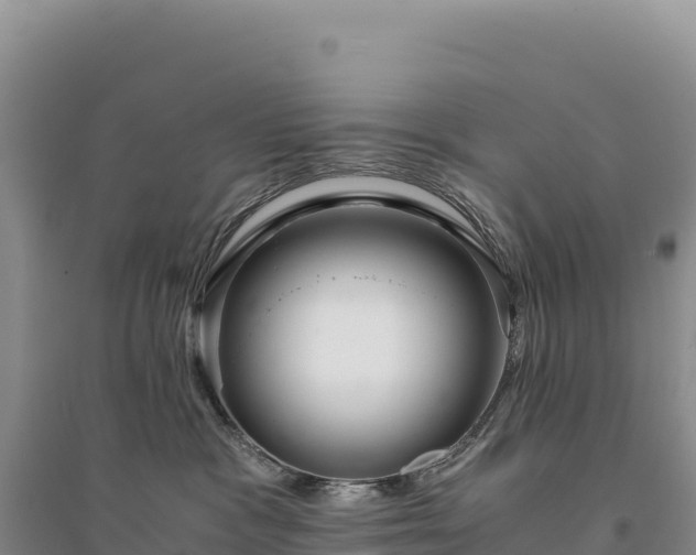 X0000094360333200711091520
