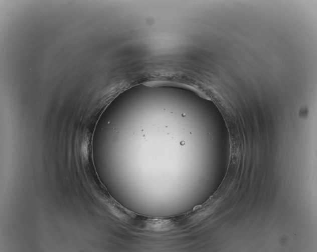 X0000094360334200711091520