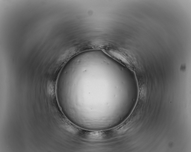 X0000094360335200711091520