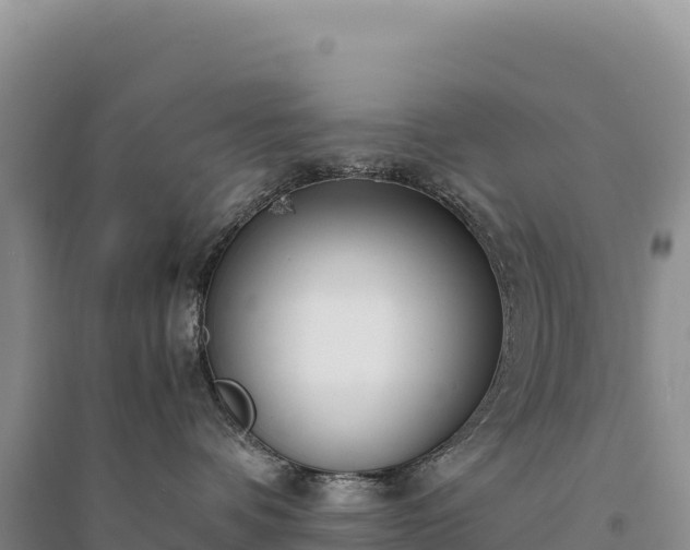 X0000094360336200711091520