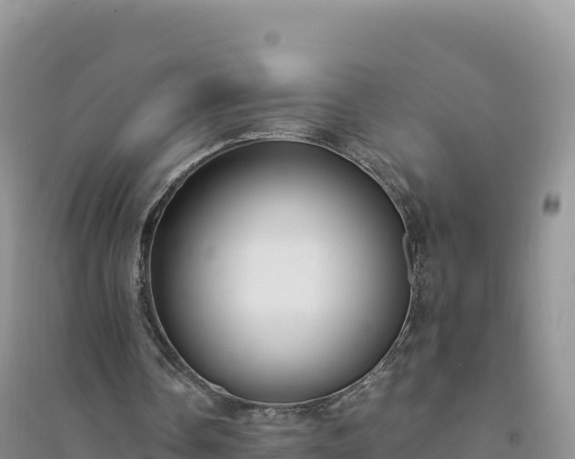X0000094360338200711091520