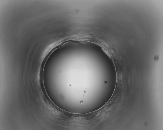 X0000094360340200711091520