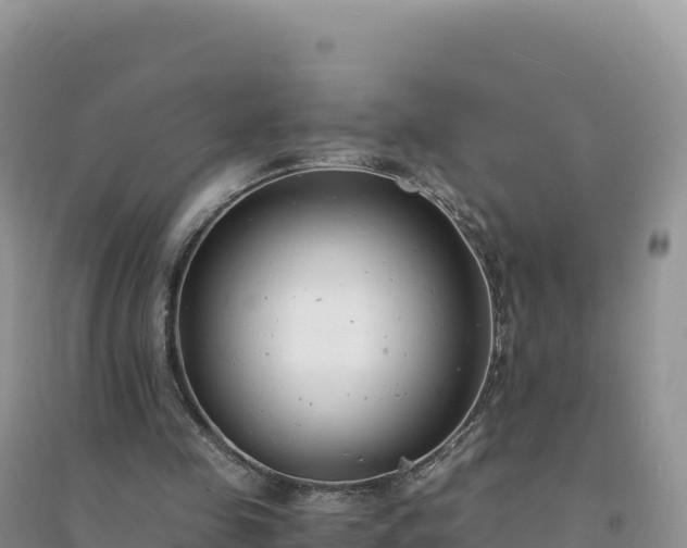 X0000094360341200711091520
