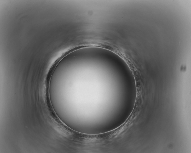 X0000094360342200711091520