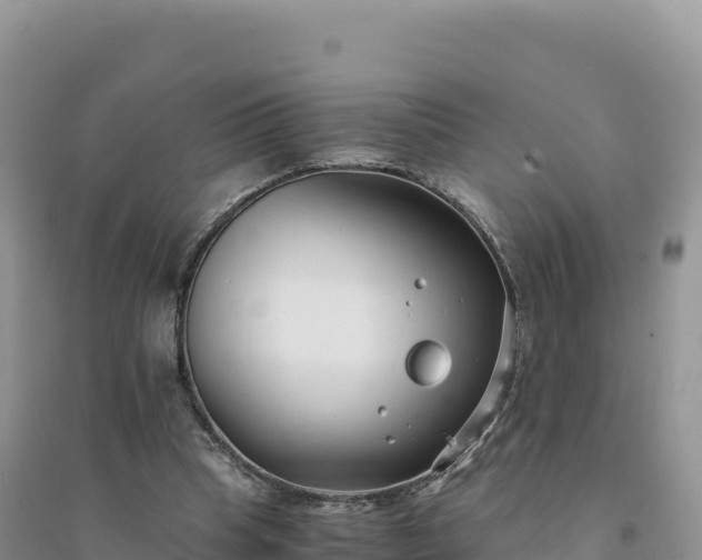 X0000094360345200711091520