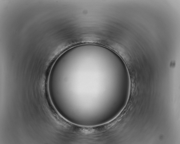 X0000094360346200711091520