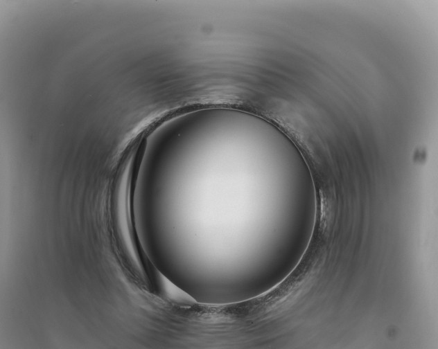 X0000094360348200711091520