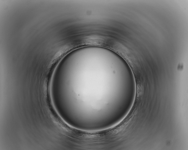 X0000094360349200711091520