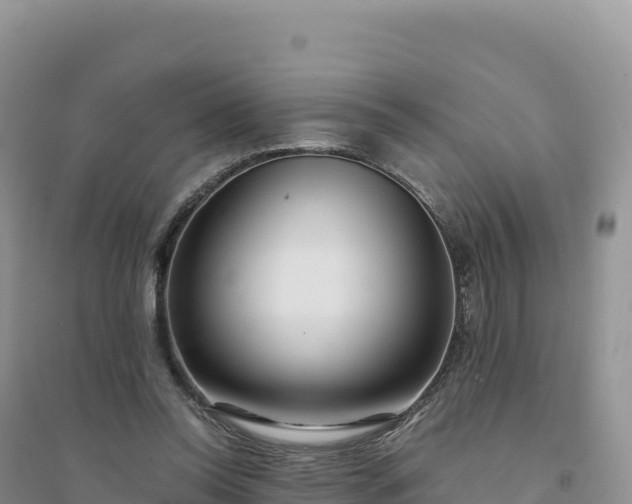 X0000094360350200711091520