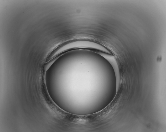 X0000094360352200711091520