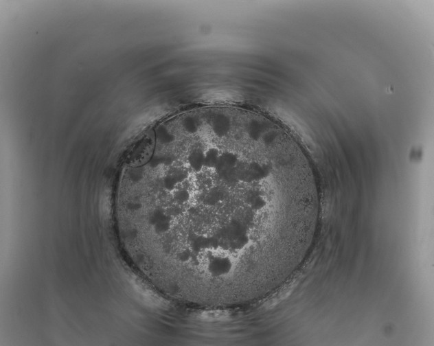 X0000094360353200711091520