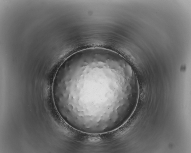 X0000094360355200711091520