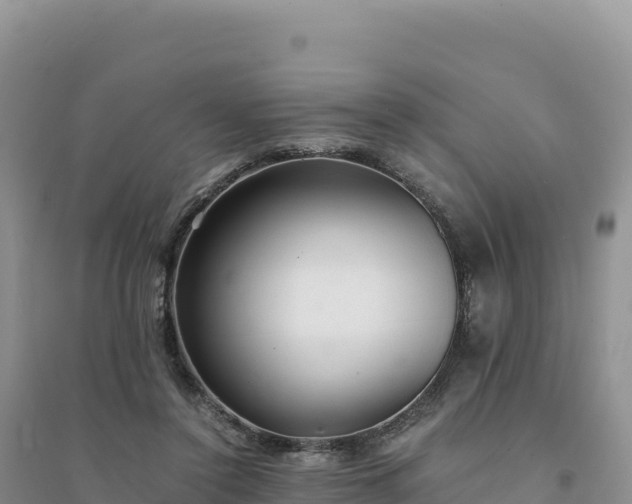 X0000094360356200711091520