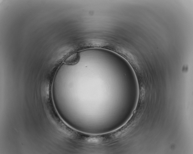 X0000094360358200711091520