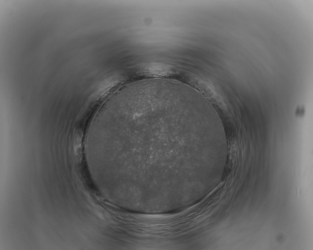 X0000094360360200711091520