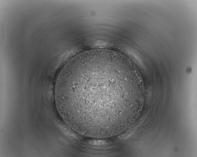 X0000094360361200711091520