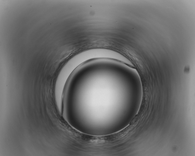 X0000094360362200711091520