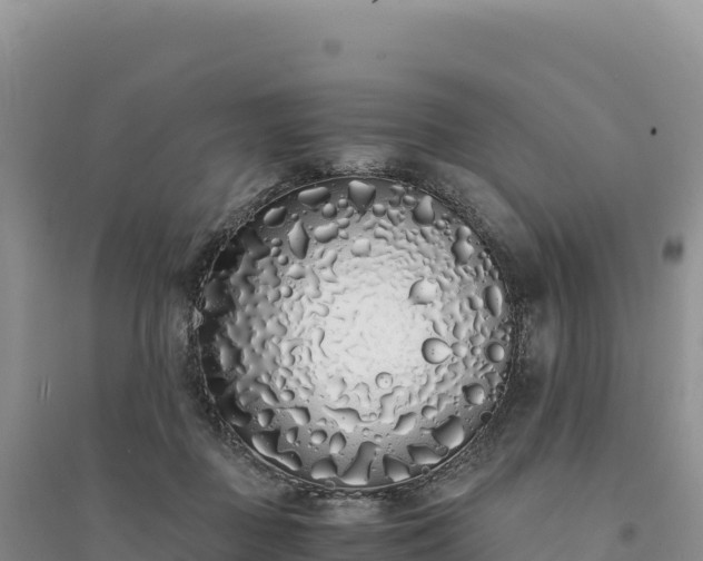 X0000094360363200711091520