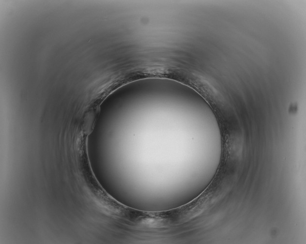 X0000094360364200711091520