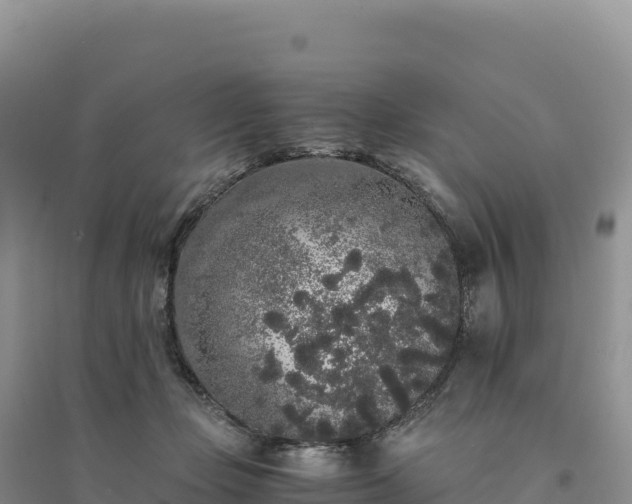 X0000094360365200711091520