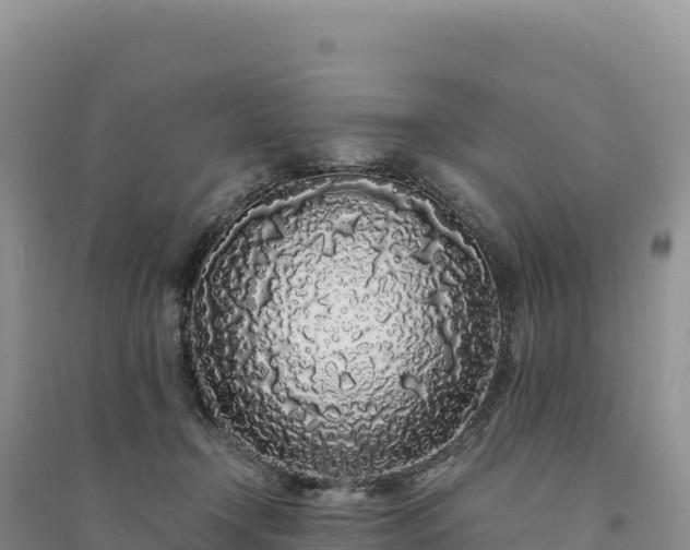 X0000094360366200711091520