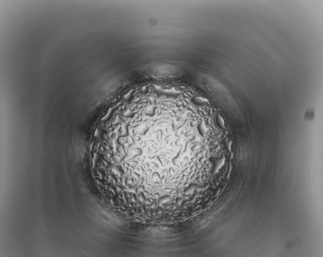 X0000094360367200711091520