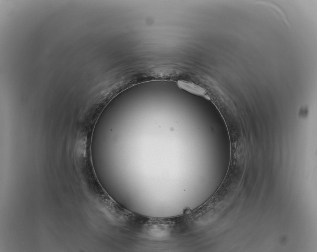 X0000094360368200711091520