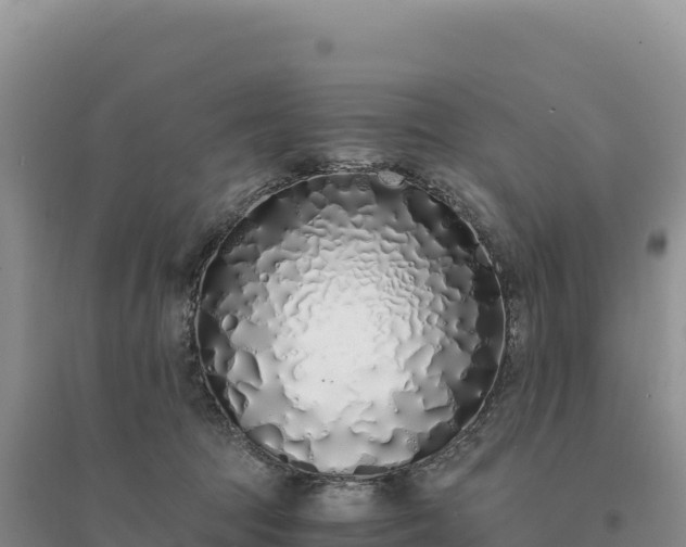 X0000094360369200711091520