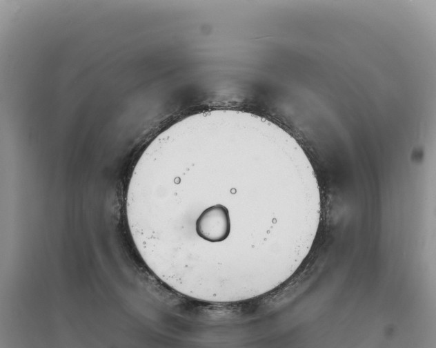 X0000094360370200711091520